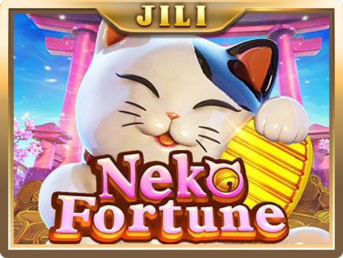 betkubi online casino